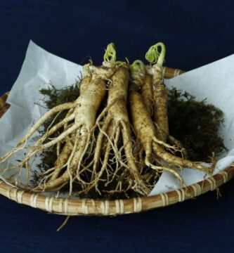 Información nutricional del ginseng