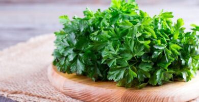 Datos nutricionales del perejil