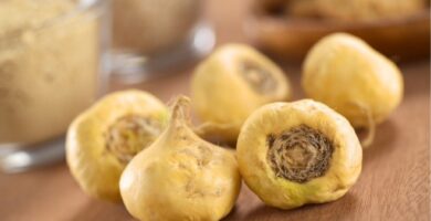 Información nutricional de la raíz de maca