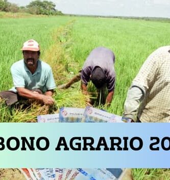 Bono agrario y rural: asistencia para productores afectados