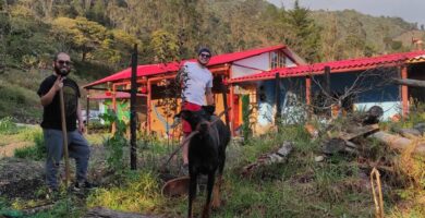 Oportunidad Laboral Disponible: Trabajo en Finca para Apoyo y Supervisión General